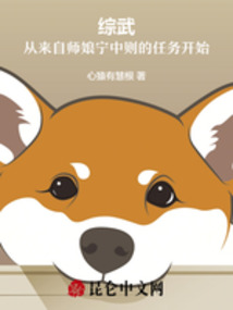 綜武:來自師娘寧中則的任務