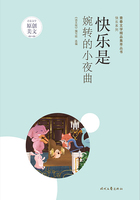 青春文学精品集萃丛书·快乐系列:快乐是婉转的小夜曲在线阅读