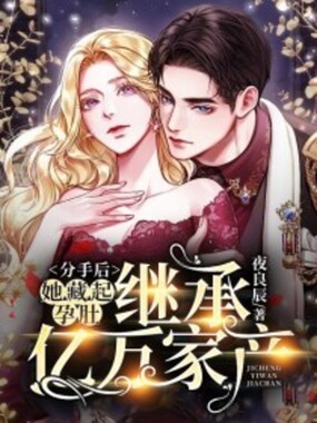 分手后，她藏起孕肚继承亿万家产在线阅读