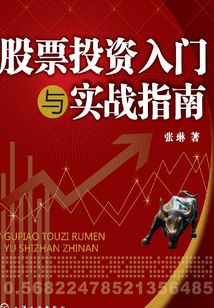 股票投資入門與實踐指南