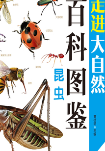 昆蟲