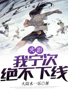 火影:我宁次绝不下线