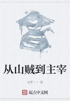 從山賊到主宰在線閱讀