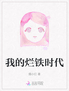我的烂铁时代在线阅读