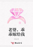老婆，乖乖嫁給我在線閱讀