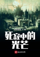 死寂中的光芒在線閱讀