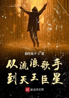 从流浪歌手到天王巨星在线阅读