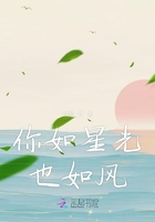 你如星光也如風在線閱讀