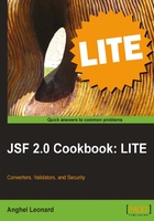 JSF 2.0 Cookbook: LITE在线阅读