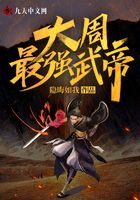 大周最强武帝
