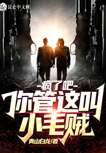 瘋了吧,你管這叫小毛賊?