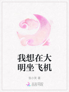 我想在大明坐飞机在线阅读