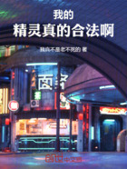 我的精灵真的合法啊在线阅读