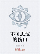 不可思议的伤口在线阅读