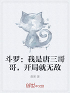 斗罗:我是唐三哥哥,开局就无敌在线阅读