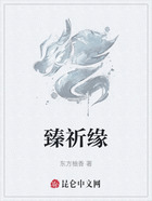 臻祈缘在线阅读