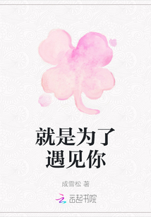 就是為了遇見你