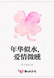 年華似水,愛情微曛