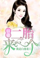 前妻，二胎來一個在線閱讀