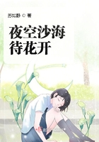 夜空沙海待花開在線閱讀