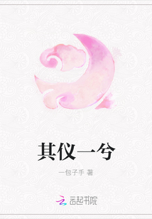 其儀一兮