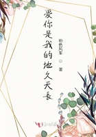 爱你是我的地久天长在线阅读