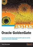 INSTANT Oracle GoldenGate在線閱讀