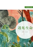 遇見生命在線閱讀