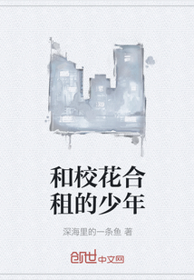 和校花合租的少年