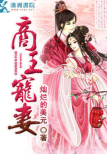 商王寵妻