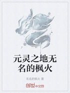 元灵之地无名的枫火在线阅读