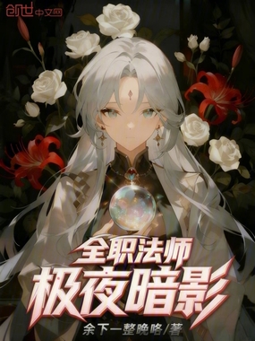 全职法师：极夜暗影在线阅读