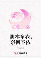 卿本布衣，奈何不依在線閱讀