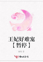 王妃好難寵【暫?！吭诰€閱讀