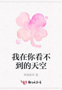 我在你看不到的天空