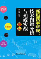 新股民学炒股：技术图谱分析与短线实战技法