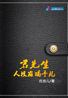 君先生人設崩塌手札在線閱讀
