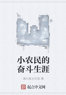 小農(nóng)民的奮斗生涯