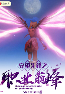 守望先鋒之職業巔峰