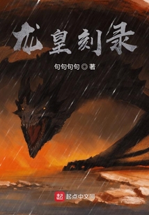 龍皇刻錄