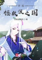 开局拯救波之国在线阅读