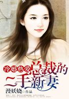 冷婚熱愛：總裁的二手新妻在線閱讀