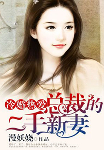 冷婚熱愛:總裁的二手新妻