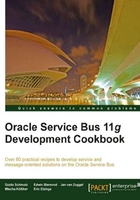 Oracle Service Bus 11g Development Cookbook在线阅读