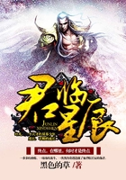 君临星辰