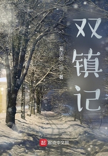 雙鎮(zhèn)記