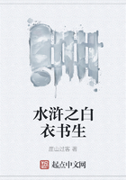 水浒之白衣书生在线阅读
