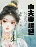 大宋风华：小夫妻崛起在线阅读