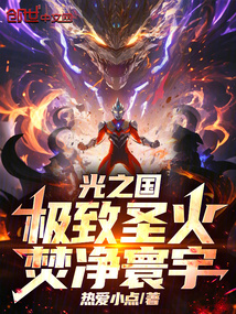 光之国：极致圣火，焚净寰宇 封面