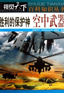 勝利的保護神：空中武器